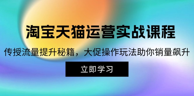 （12959期）淘宝&天猫运营实战课程，传授流量提升秘籍，大促操作玩法助你销量飙升-创奇社
