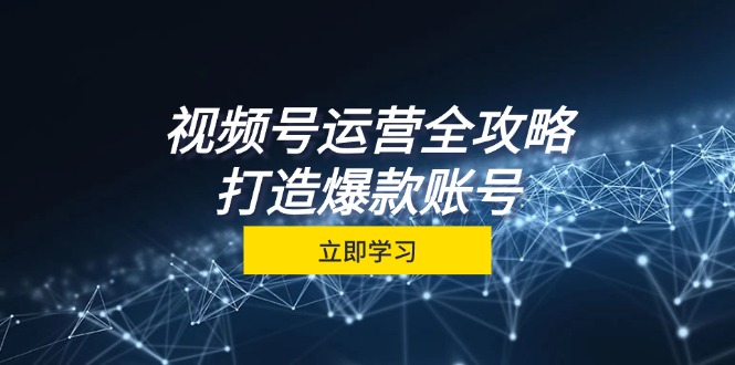 （12912期）视频号运营全攻略，从定位到成交一站式学习，视频号核心秘诀，打造爆款…-创奇社