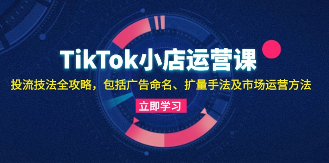 （13063期）TikTok小店运营课：投流技法全攻略，包括广告命名 扩量手法及市场运营方法-创奇社