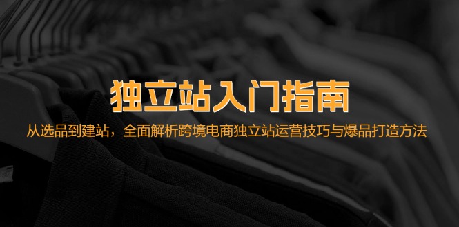 （12882期）独立站入门指南：从选品到建站，全面解析跨境电商独立站运营技巧与爆品…-创奇社