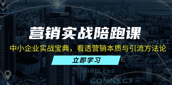 （13146期）营销实战陪跑课：中小企业实战宝典，看透营销本质与引流方法论-创奇社
