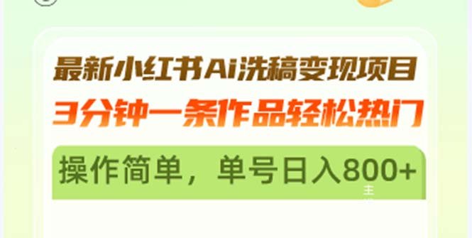 （13182期）最新小红书Ai洗稿变现项目 3分钟一条作品轻松热门 操作简单，单号日入800+-创奇社