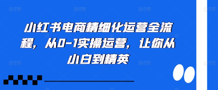 小红书电商精细化运营全流程，从0-1实操运营，让你从小白到精英-创奇社 - AI前沿·副业变现·资源教程！