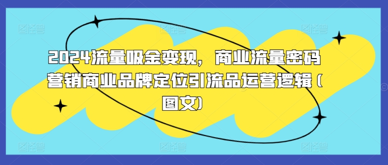 2024流量吸金变现，商业流量密码营销商业品牌定位引流品运营逻辑(图文)-创奇社 - AI前沿·副业变现·资源教程！