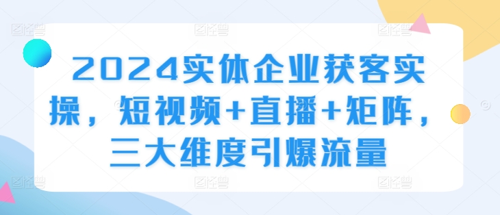 2024实体企业获客实操，短视频+直播+矩阵，三大维度引爆流量-创奇社 - AI前沿·副业变现·资源教程！