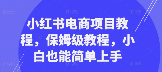 小红书电商项目教程，保姆级教程，小白也能简单上手-创奇社 - AI前沿·副业变现·资源教程！