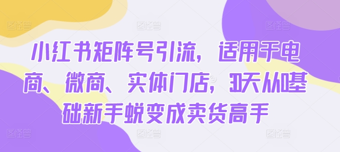 小红书矩阵号引流，适用于电商、微商、实体门店，30天从0基础新手蜕变成卖货高手-创奇社 - AI前沿·副业变现·资源教程！