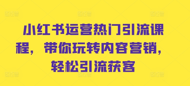 小红书运营热门引流课程，带你玩转内容营销，轻松引流获客-创奇社 - AI前沿·副业变现·资源教程！