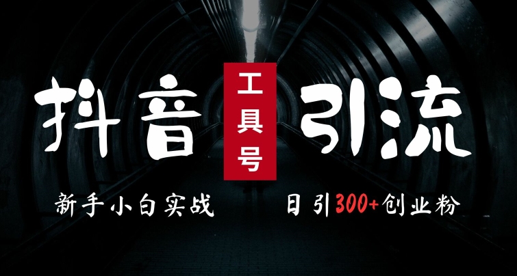 2024最新抖音工具号引流玩法，高效日引300+创业粉，当天变现5k，小白也可成为实战高手-创奇社 - AI前沿·副业变现·资源教程！