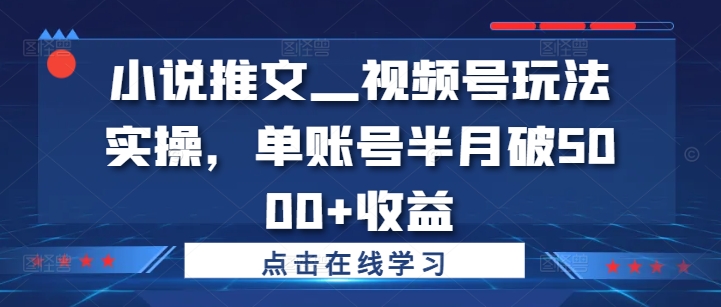 小说推文—视频号玩法实操，单账号半月破5000+收益-创奇社 - AI前沿·副业变现·资源教程！