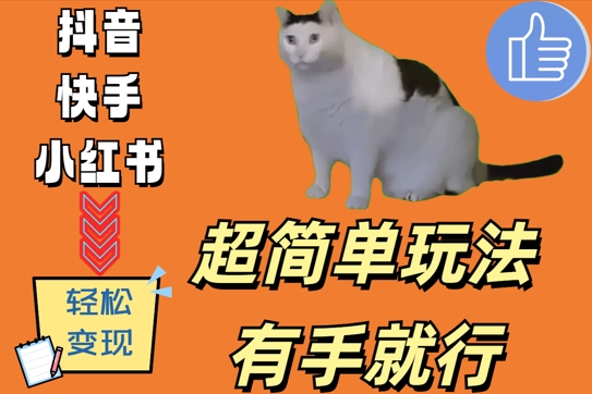 超简单玩法，有手就行，靠猫咪视频日入500+-创奇社 - AI前沿·副业变现·资源教程！