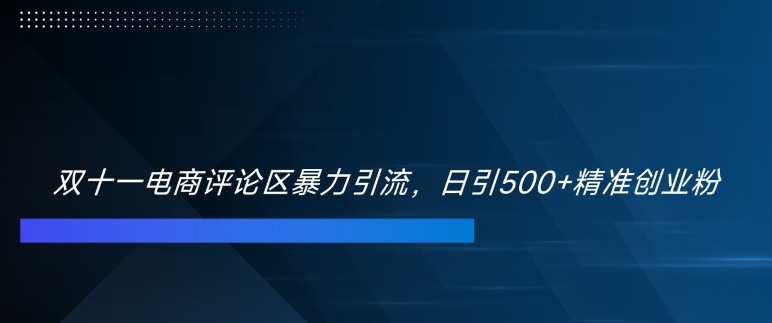 双十一电商评论区暴力引流，日引500+精准创业粉-创奇社 - AI前沿·副业变现·资源教程！