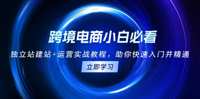 （13503期）跨境电商小白必看！独立站建站+运营实战教程，助你快速入门并精通-创奇社