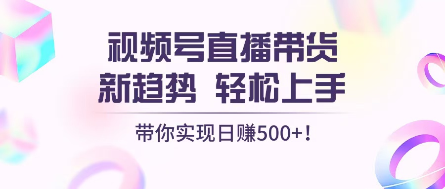 （13370期）视频号直播带货新趋势，轻松上手，带你实现日赚500+-创奇社