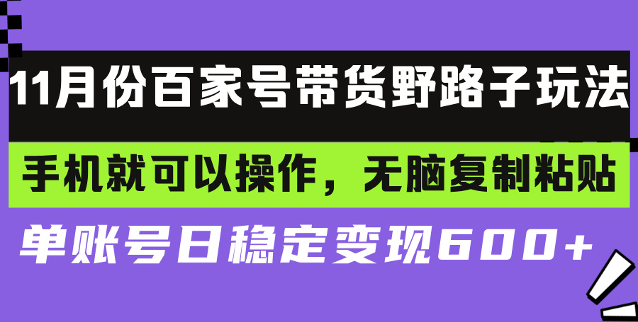 （13281期）百家号带货野路子玩法 手机就可以操作，无脑复制粘贴 单账号日稳定变现…-创奇社