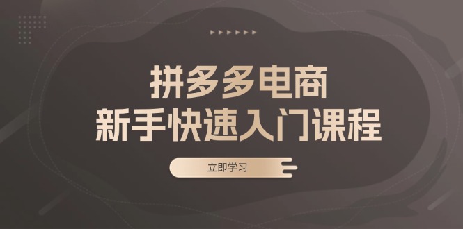 （13289期）拼多多电商新手快速入门课程：涵盖基础、实战与选款，助力小白轻松上手-创奇社