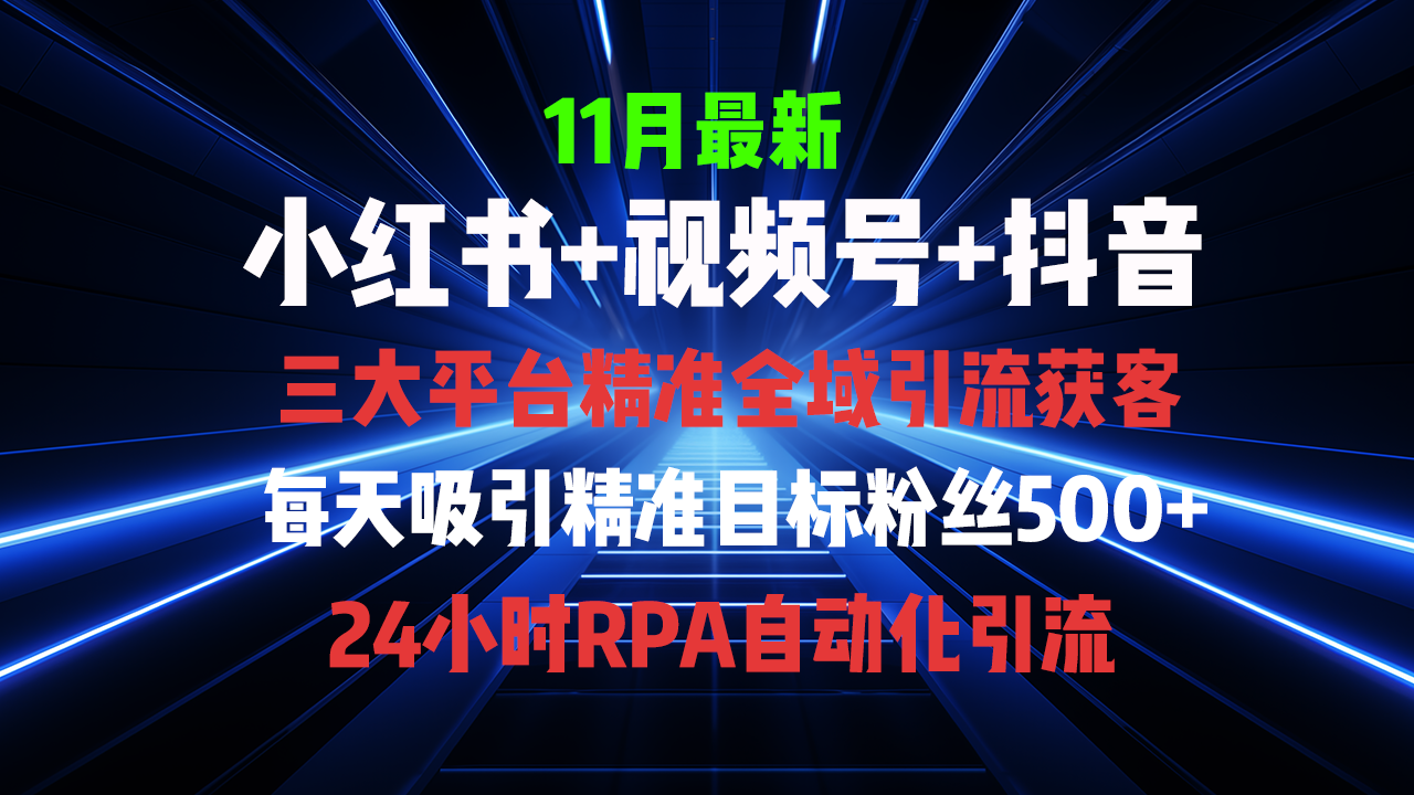 （13259期）全域多平台引流私域打法，小红书，视频号，抖音全自动获客，截流自…-创奇社