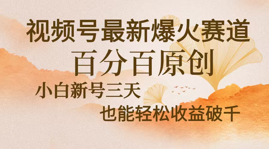 （13225期）视频号最新爆火赛道，中老年粉深信不疑，百分百原创，新号三天收益轻松…-创奇社