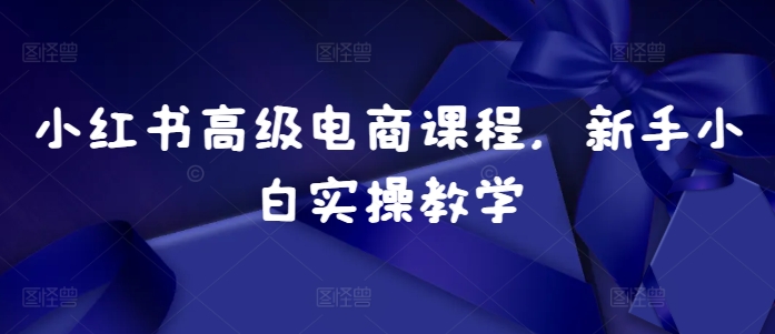 小红书高级电商课程，新手小白实操教学-创奇社 - AI前沿·副业变现·资源教程！