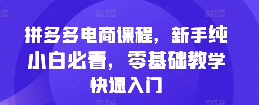 拼多多电商课程，新手纯小白必看，零基础教学快速入门-创奇社 - AI前沿·副业变现·资源教程！