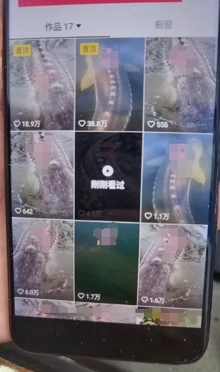 外面卖399的国学佛像原创暴力起号技术，快速起号，7天可达到一个万粉号-2