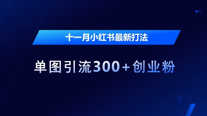 十一月小红书最新打法，单图引流300+创业粉-创奇社 - AI前沿·副业变现·资源教程！
