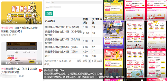 （13751期）美团神券/神会员_入门级教程，外卖券膨胀推广项目【蓝海市场攻略】-2