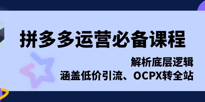 （13700期）拼多多运营必备课程，解析底层逻辑，涵盖低价引流、OCPX转全站-创奇社