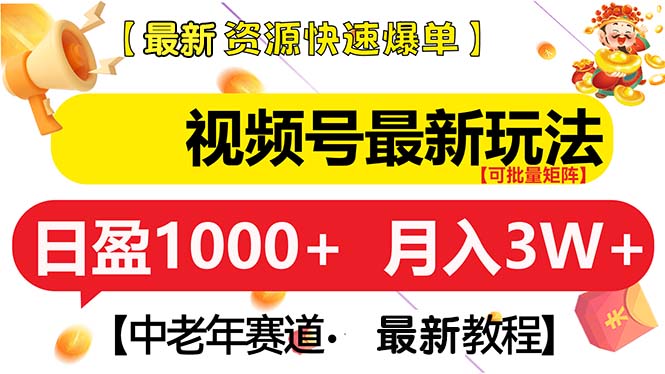 （13530期）视频号最新玩法 中老年赛道 月入3W+-创奇社