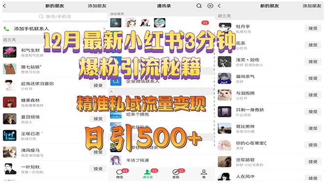 （13653期）12月最新小红书3分钟爆粉引流秘籍 精准私域流量变现 日引500+-创奇社