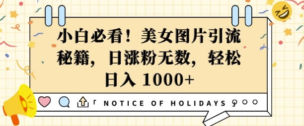 小白必看，美女图片引流秘籍，日涨粉无数，轻松日入几张-创奇社 - AI前沿·副业变现·资源教程！