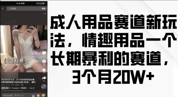 成人用品赛道新玩法，情趣用品一个长期暴利的赛道，3个月收益20个-创奇社 - AI前沿·副业变现·资源教程！