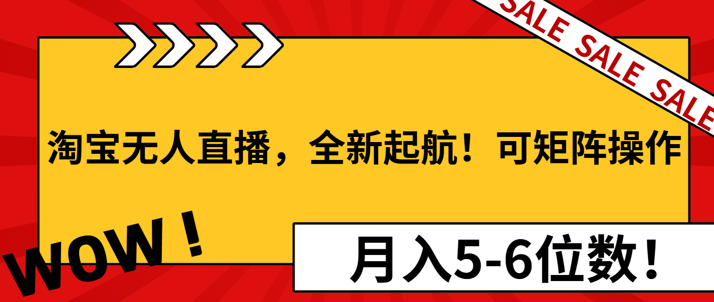 （13946期）淘宝无人直播，全新起航！可矩阵操作，月入5-6位数！-创奇社