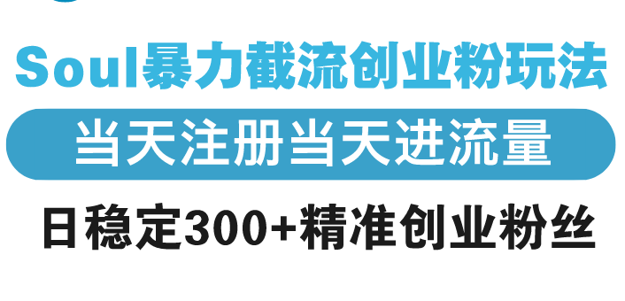 （13935期）Soul暴力截流创业粉玩法，当天注册当天进流量，日稳定300+精准创业粉丝-创奇社