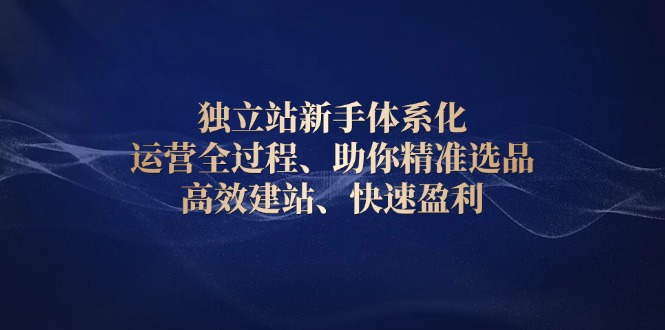 （13914期）独立站新手体系化 运营全过程，助你精准选品、高效建站、快速盈利-创奇社