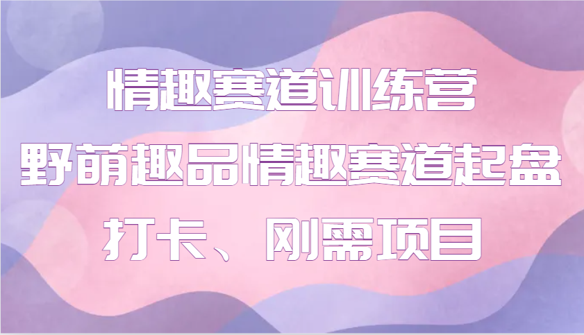 情趣赛道训练营 野萌趣品情趣赛道起盘打卡、刚需项目-创奇社 - AI前沿·副业变现·资源教程！
