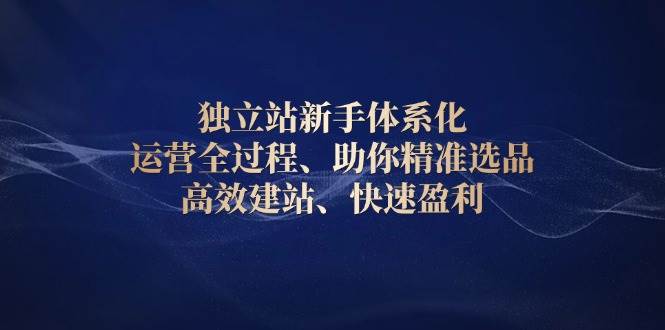 独立站新手体系化 运营全过程，助你精准选品、高效建站、快速盈利-创奇社 - AI前沿·副业变现·资源教程！