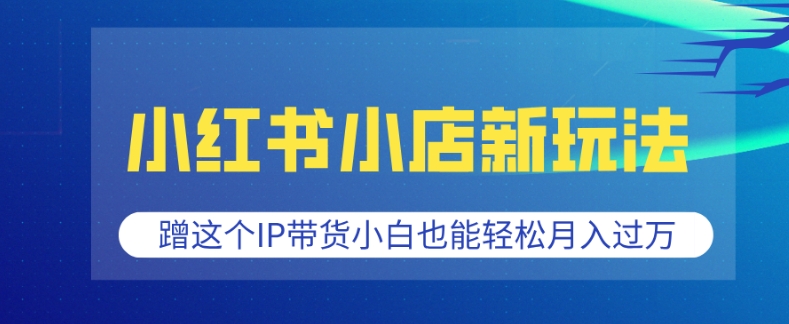 小红书小店新玩法，蹭这个IP带货，小白也能轻松月入过W-创奇社 - AI前沿·副业变现·资源教程！