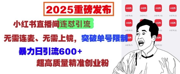 2025重磅发布：小红书直播间连怼引流，无需连麦、无需上镜，突破单号限制，暴力日引流600+-创奇社 - AI前沿·副业变现·资源教程！