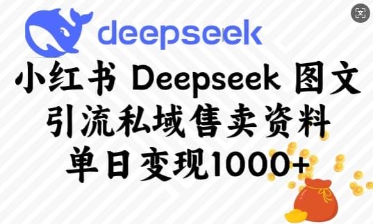 小红书Deepseek图文引流私域售卖资料，单日变现多张-创奇社