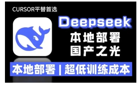 2025年deepseek R1 大型模型本地安装部署(文件+教程)本地部署，超低训练成本-创奇社