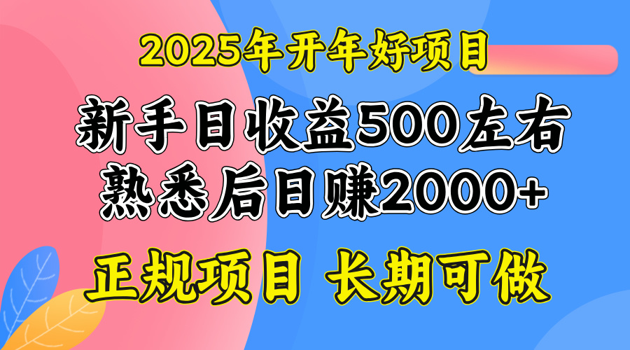 （14076期）2025开年好项目，单号日收益2000左右-创奇社