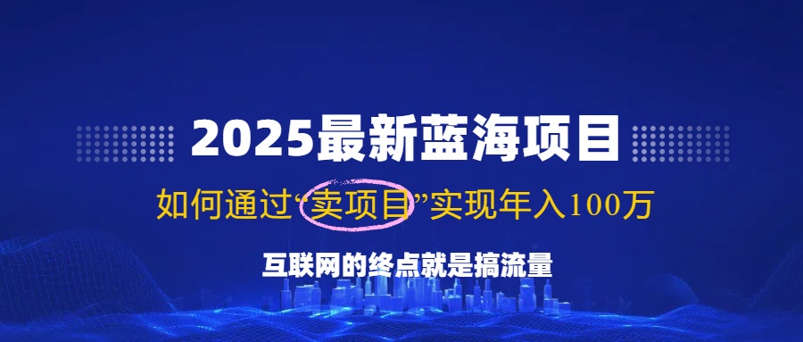 （14305期）2025最新蓝海项目，零门槛轻松复制，月入10万+，新手也能操作！-创奇社