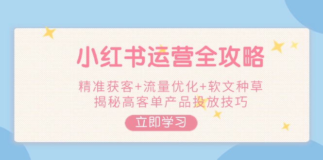 （14207期）小红书运营全攻略，精准获客+流量优化+软文种草，揭秘高客单产品投放技巧-创奇社