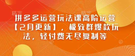 拼多多运营玩法课高阶运营【2月更新】，极致群爆款玩法，轻付费无尽复制等-创奇社 - AI前沿·副业变现·资源教程！