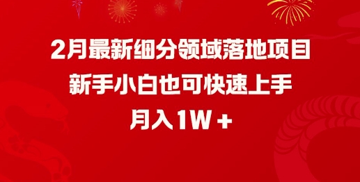 2月最新细分领域落地项目，新手小白也可快速上手，月入1W-1