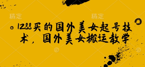 1288买的国外美女起号技术，国外美女搬运教学-创奇社 - AI前沿·副业变现·资源教程！