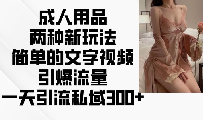 成人用品两种新玩法，简单的文字视频引爆流量，一天引流私域300+-创奇社 - AI前沿·副业变现·资源教程！