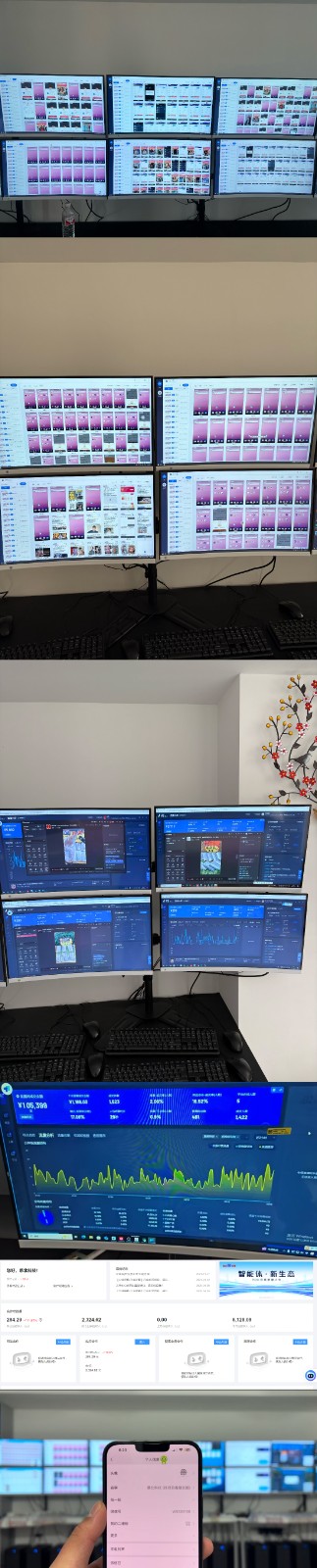 实操项目合集 挂机类型 直播类型 轻资产创业类型 课程分享各项目介绍和原理-2