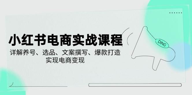 小红书电商实战课程，详解养号、选品、文案撰写、爆款打造，实现电商变现-创奇社